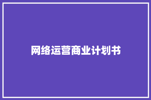 网络运营商业计划书 写作素材