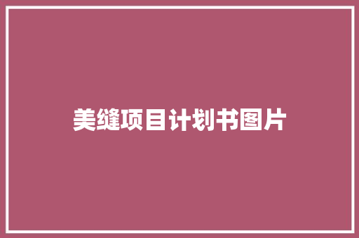 美缝项目计划书图片