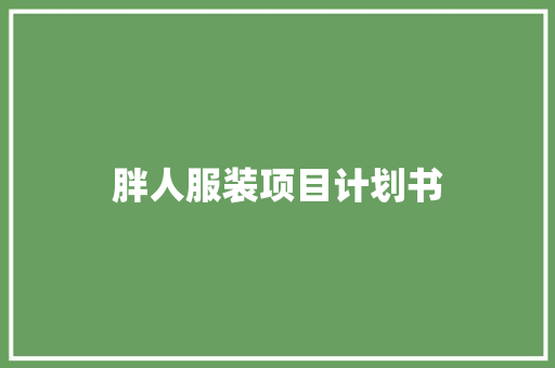 胖人服装项目计划书