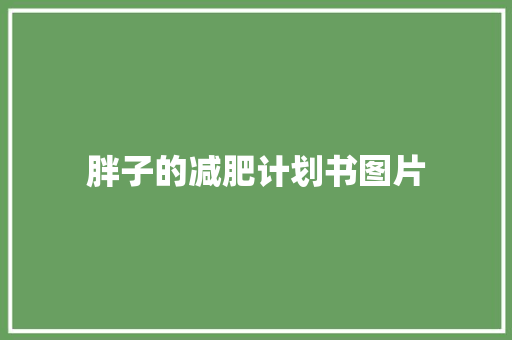 胖子的减肥计划书图片
