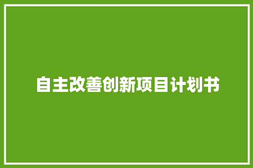 自主改善创新项目计划书 报告写作