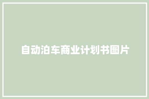 自动泊车商业计划书图片 报告写作