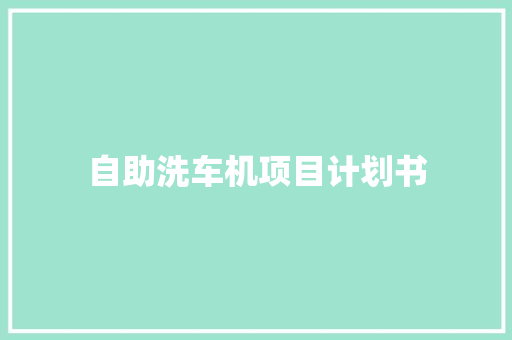 自助洗车机项目计划书