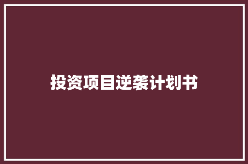 投资项目逆袭计划书