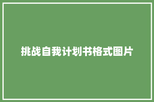 挑战自我计划书格式图片