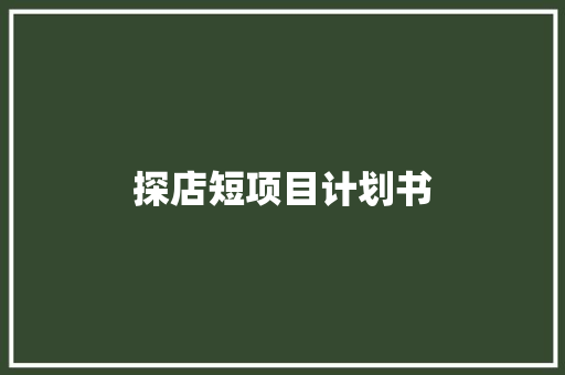 探店短项目计划书 词汇积累
