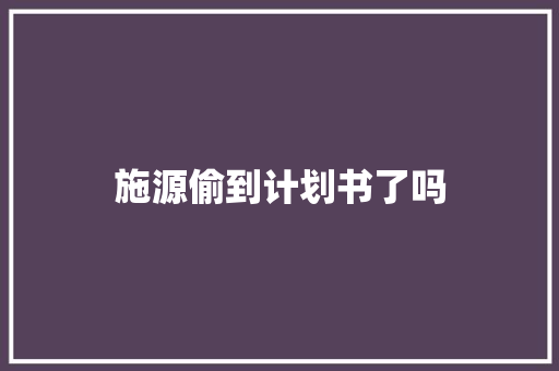 施源偷到计划书了吗