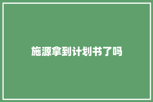 施源拿到计划书了吗