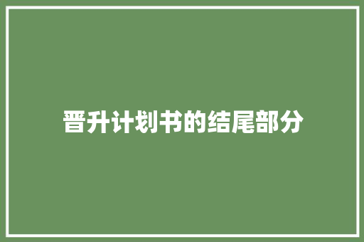晋升计划书的结尾部分