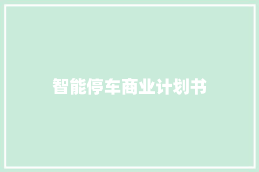 智能停车商业计划书