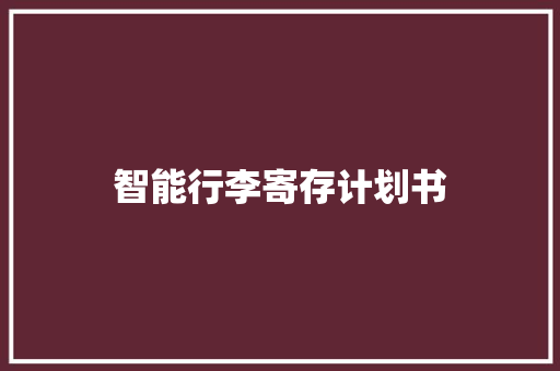 智能行李寄存计划书