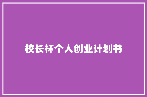 校长杯个人创业计划书