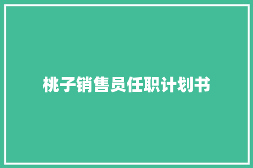 桃子销售员任职计划书