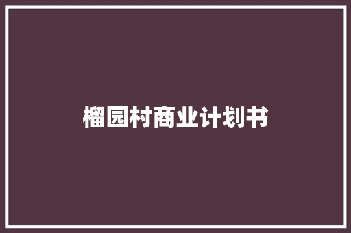 榴园村商业计划书