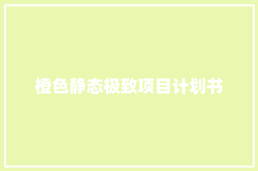 橙色静态极致项目计划书