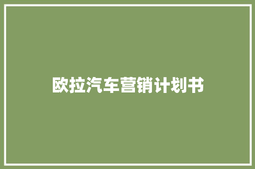 欧拉汽车营销计划书