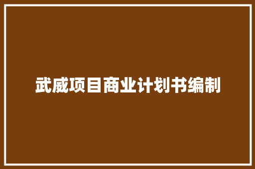 武威项目商业计划书编制
