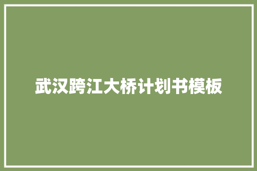 武汉跨江大桥计划书模板