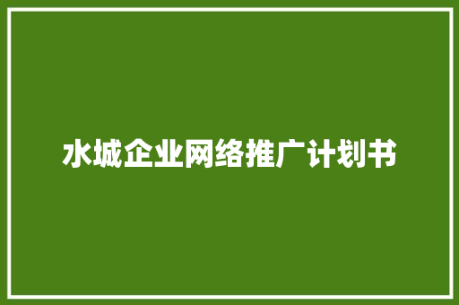 水城企业网络推广计划书