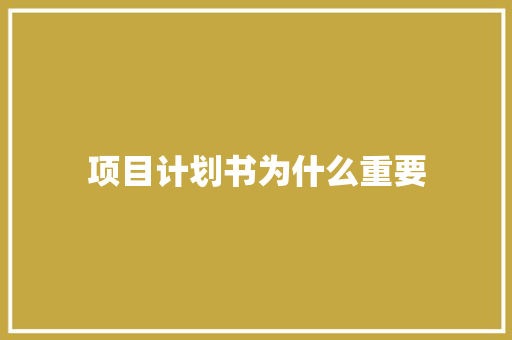 项目计划书为什么重要