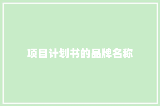 项目计划书的品牌名称