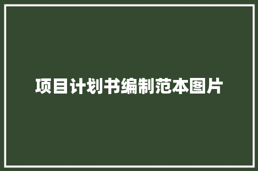 项目计划书编制范本图片 诗歌创作