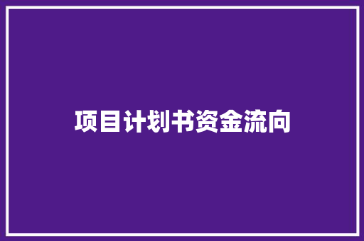 项目计划书资金流向