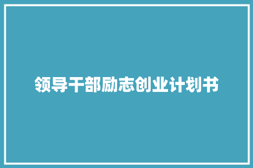 领导干部励志创业计划书
