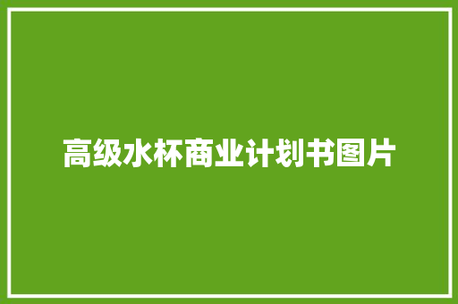 高级水杯商业计划书图片