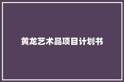 黄龙艺术品项目计划书