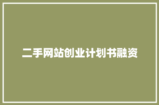 二手网站创业计划书融资