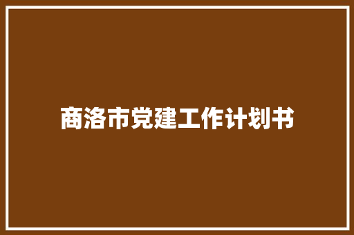 商洛市党建工作计划书