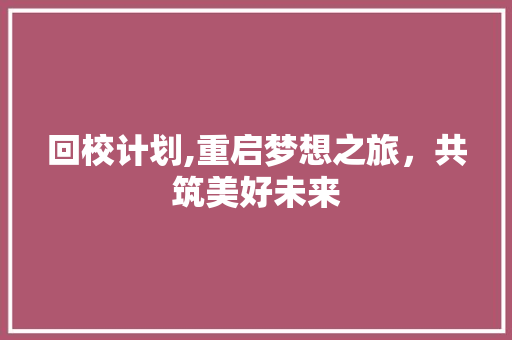 回校计划,重启梦想之旅，共筑美好未来