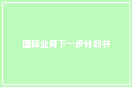 国际业务下一步计划书
