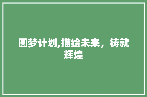 圆梦计划,描绘未来，铸就辉煌
