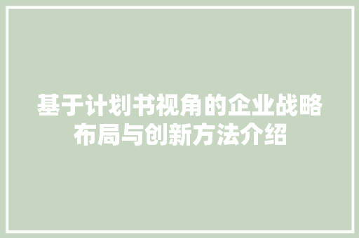 基于计划书视角的企业战略布局与创新方法介绍