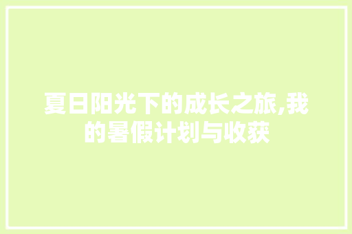 夏日阳光下的成长之旅,我的暑假计划与收获