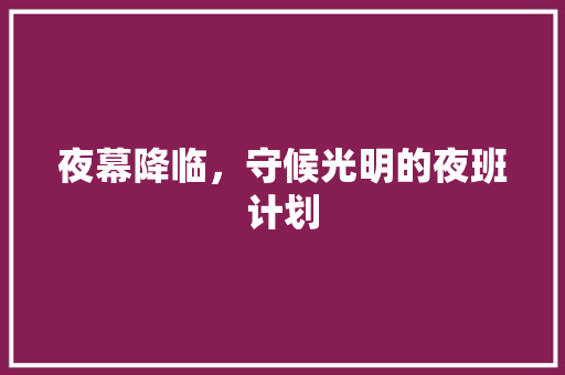 夜幕降临，守候光明的夜班计划