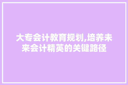 大专会计教育规划,培养未来会计精英的关键路径