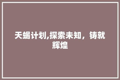 天蝎计划,探索未知，铸就辉煌