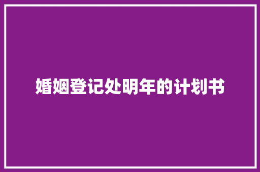 婚姻登记处明年的计划书