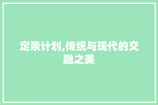 定亲计划,传统与现代的交融之美