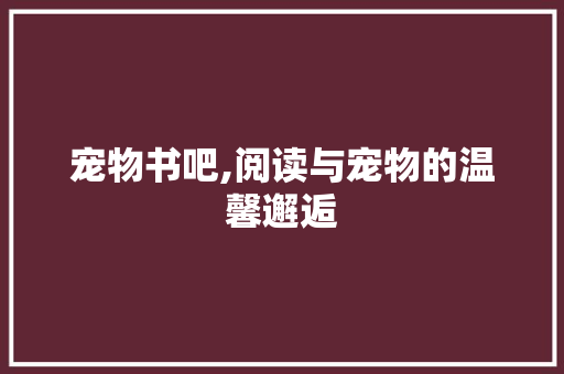 宠物书吧,阅读与宠物的温馨邂逅