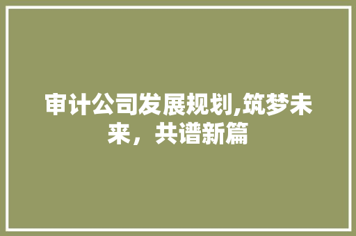 审计公司发展规划,筑梦未来，共谱新篇