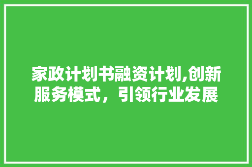 家政计划书融资计划,创新服务模式，引领行业发展