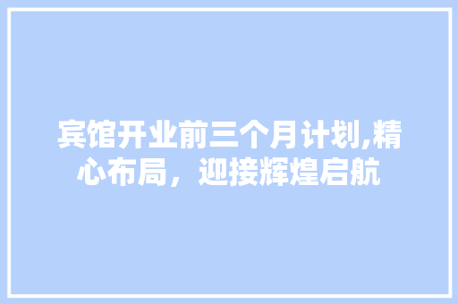 宾馆开业前三个月计划,精心布局，迎接辉煌启航 报告写作