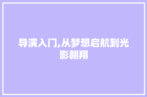 导演入门,从梦想启航到光影翱翔