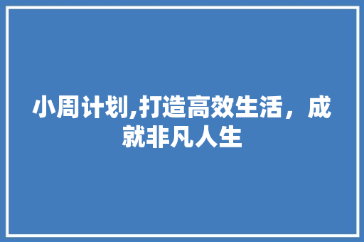 小周计划,打造高效生活，成就非凡人生