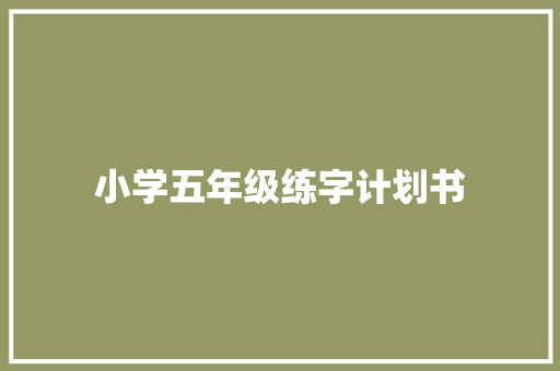 小学五年级练字计划书
