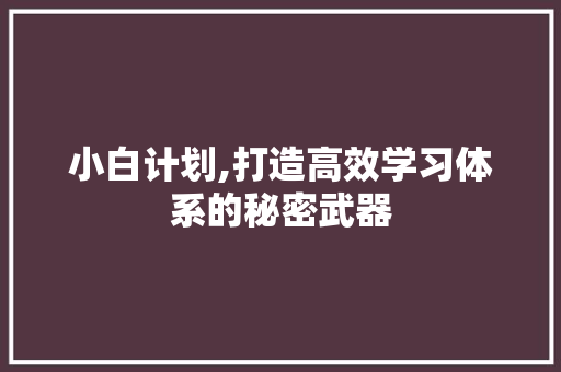 小白计划,打造高效学习体系的秘密武器